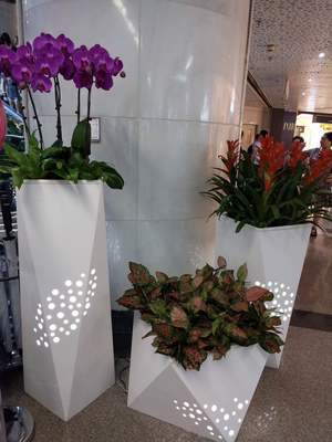 個(gè)性花卉產(chǎn)品租賃_個(gè)性花卉產(chǎn)品批發(fā)零售_高端組景組盆花卉專(zhuān)業(yè)租貨_長(zhǎng)沙花卉租擺_高端花卉專(zhuān)業(yè)設(shè)計(jì)租賃